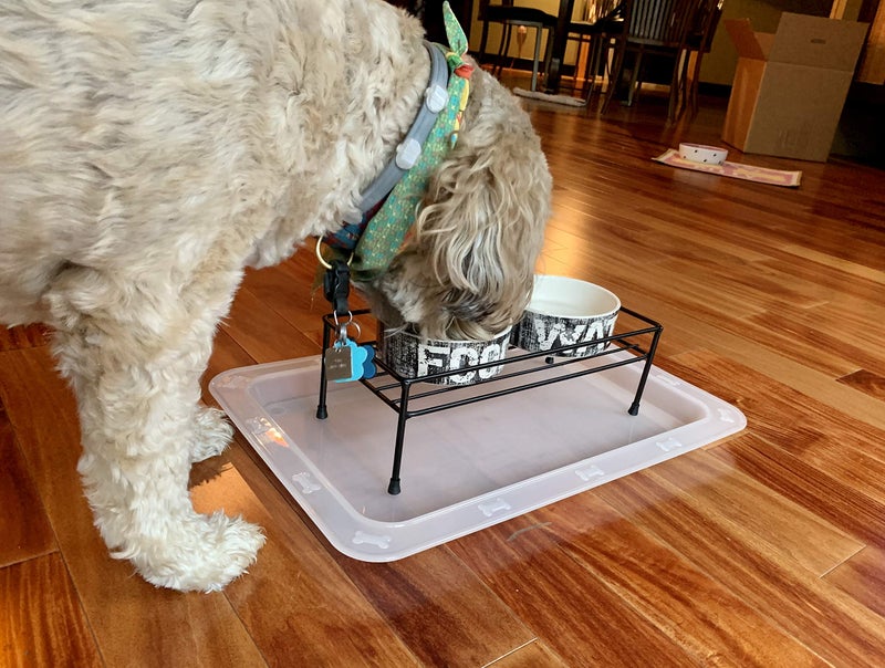PetRageous 55142 Bone N Up Non-Slip Clear Plastic Dog Feeding Tray 19.125-Inch by 13.125-Inch for Dogs and Cats, White - Image 3